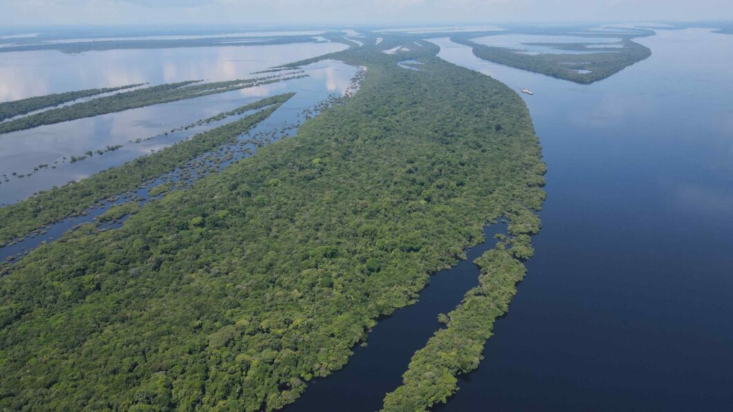 Amazonas é o estado com maior cobertura natural do Brasil, aponta ...