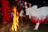Boi Garantido sai às ruas em homenagem a São João e mantém tradição centenária