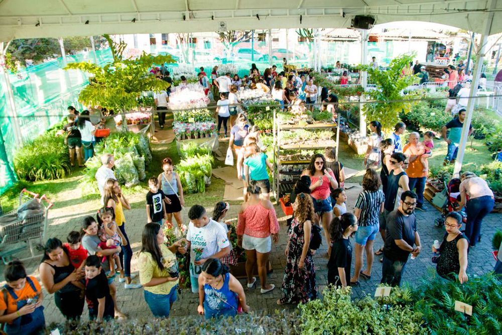 Feira de Flores de Holambra retorna a Manaus com mais de 200 tipos de flores em exposi&ccedil;&atilde;o