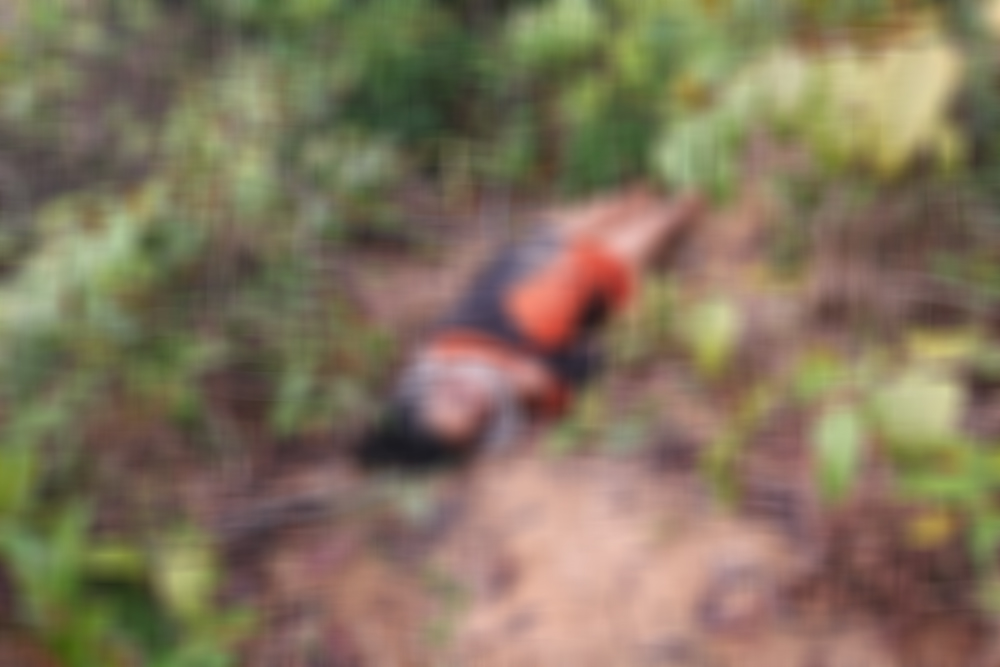 Mulher &eacute; encontrada morta com marcas de tortura em &aacute;rea de mata no Distrito  Industrial II - Portal do Marcos Santos