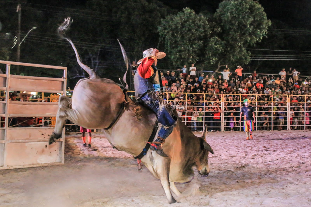 O que eu preciso para me tornar um peão de rodeio