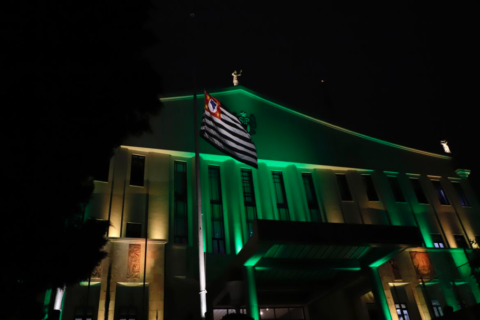 Palácio dos Bandeirantes, sede do Governo de São Paulo iluminada em verde e amarelo. Foto: Divulgação