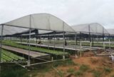 agropecuária rural, agropecuária urbana, residencial rural podem receber o benefício