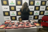 A suspeita segundo a Polícia Militar não possui antecedentes criminais. Foto: Assessoria de Comunicação da Polícia Militar
