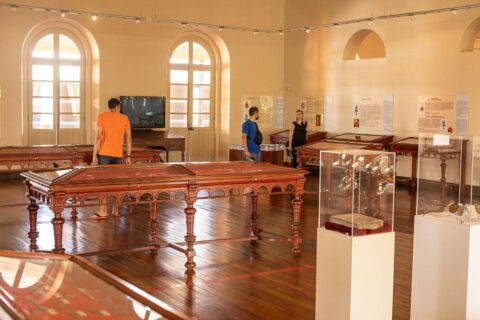 Exposições em Manaus
