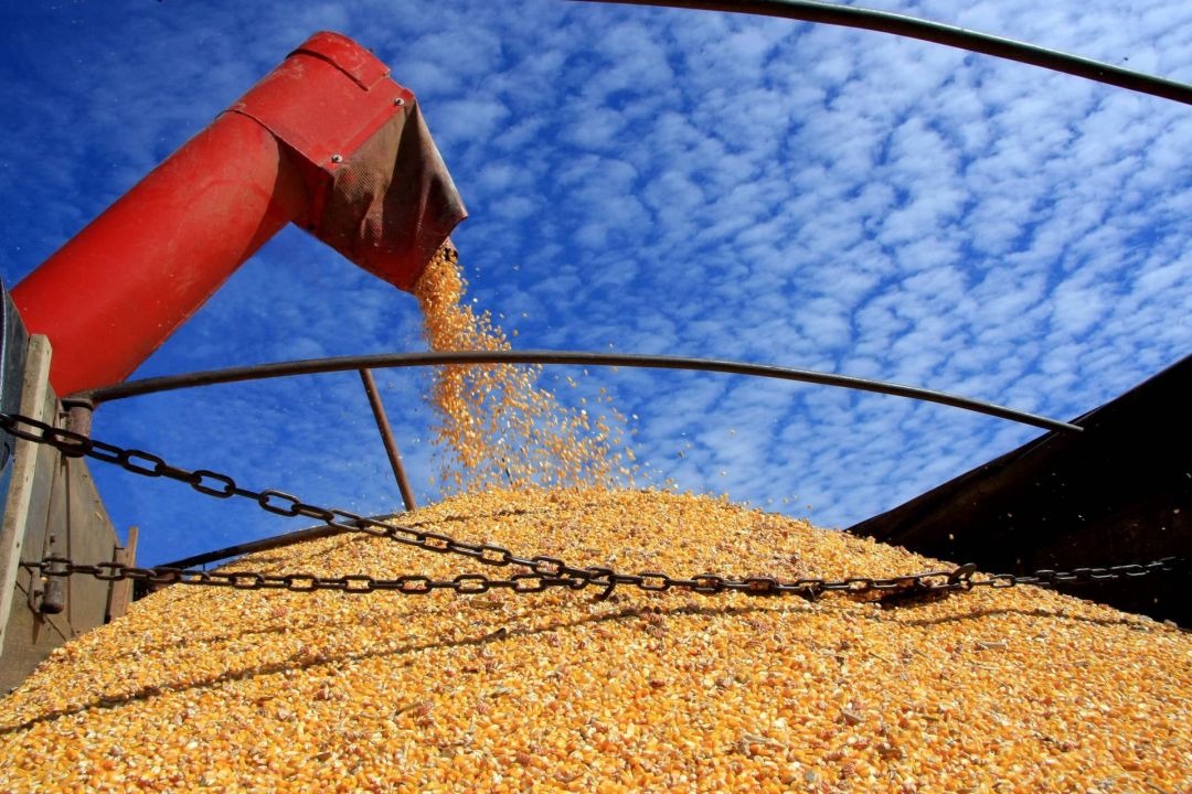 Valor da Produ&ccedil;&atilde;o Agropecu&aacute;ria fecha 2022 em R$ 1,189 trilh&atilde;o