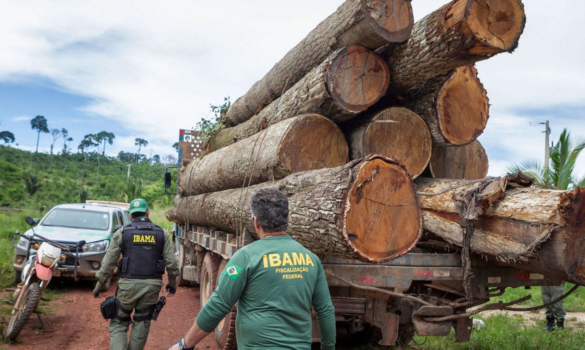 Ibama cria grupo para fiscalizar fraudes em sistemas de controle florestal