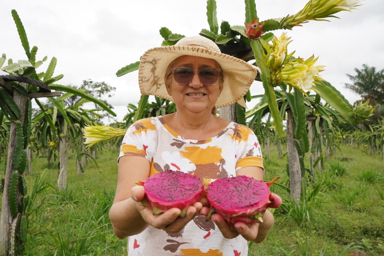 Mecanização auxilia na produção e viabiliza qualidade de vida do trabalhador rural