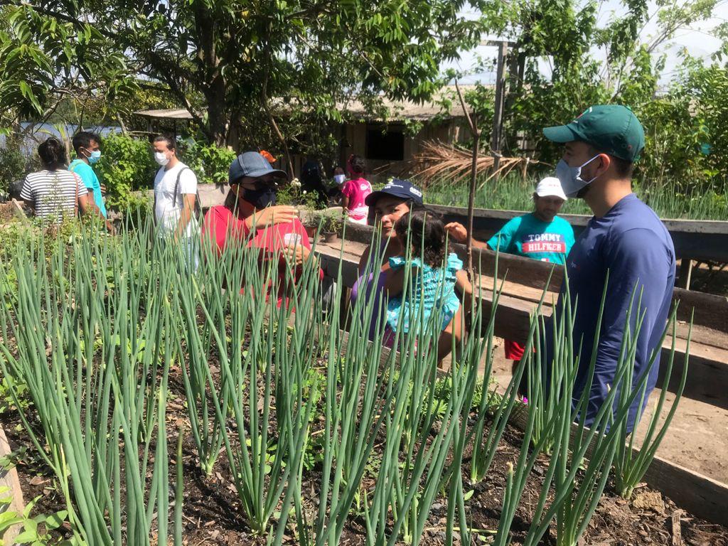 Live do Inpa aborda agroecologia e desenvolvimento social 