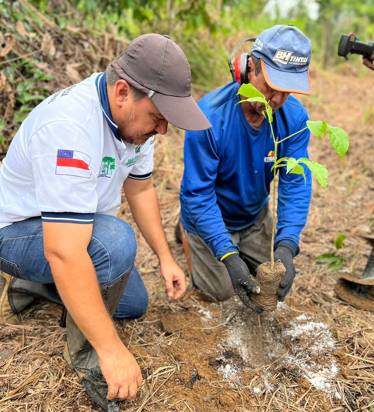 Programa ‘Paisagens Sustentáveis da Amazônia’ realiza atividades de restauração florestal em Canutama