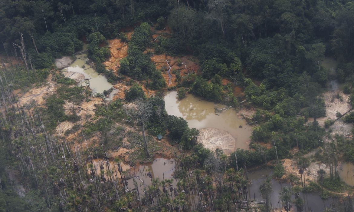 Justi&ccedil;a concede liberdade provis&oacute;ria a garimpeiros presos em Terra Yanomami  - Portal do Marcos Santos