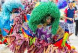 Projeto reconhece Carnaval de Pernambuco como manifestação da cultura nacional