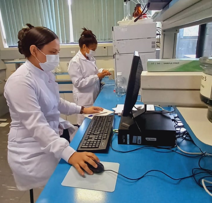 Pesquisa realizada em Tef&eacute; avalia plantas medicinais para identificar novos f&aacute;rmacos