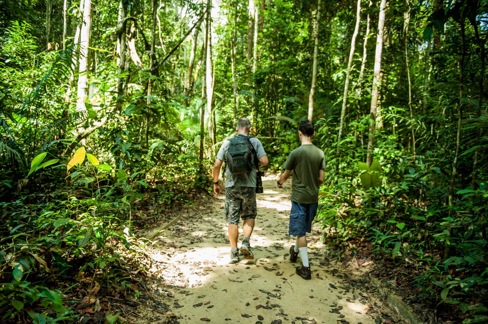 Iniciativas de cuidados com o meio ambiente são destaque no Dia Mundial do Turismo Ecológico