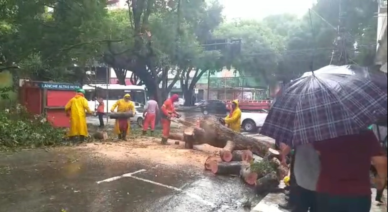 Chuva deixa rastro de alagamento, eros&atilde;o e &aacute;rvore tombada em Manaus