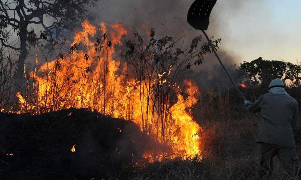 Amazônia concentra 90% da área com focos de incêndio no 1º bimestre Amazônia concentra 90% da área com focos de incêndio no 1º bimestre