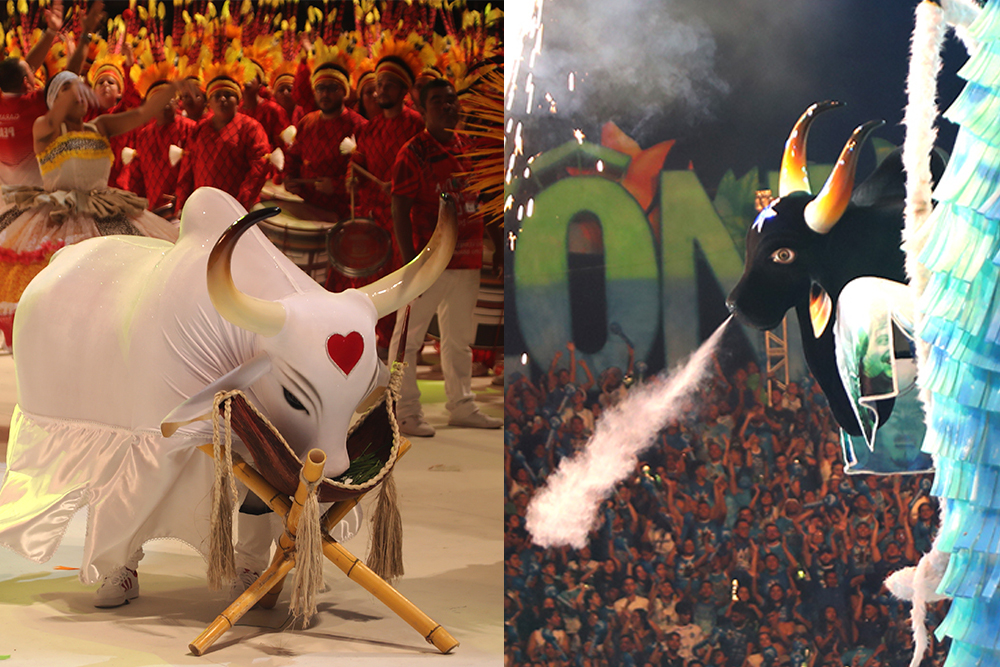 O julgamento do Festival