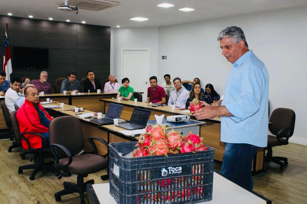 Governo incentiva crescimento da produção de pitaya no Amazonas Governo incentiva crescimento da produção de pitaya no Amazonas