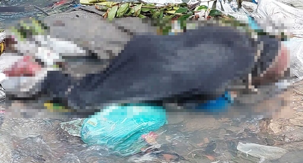 Corpo com pesco&ccedil;o e os p&eacute;s amarrados &eacute; encontrado em igarap&eacute; no Jorge Teixeira