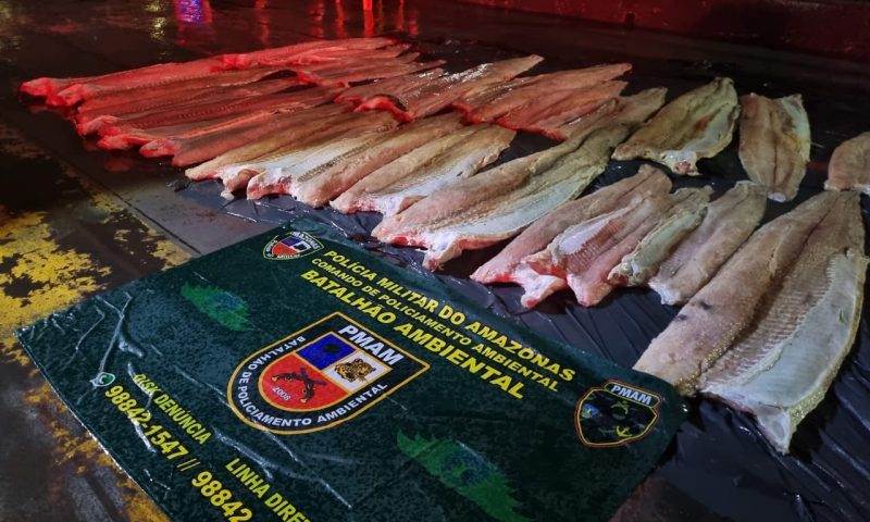Homem &eacute; preso com nove toneladas de pirarucu ilegal na feira do Panair