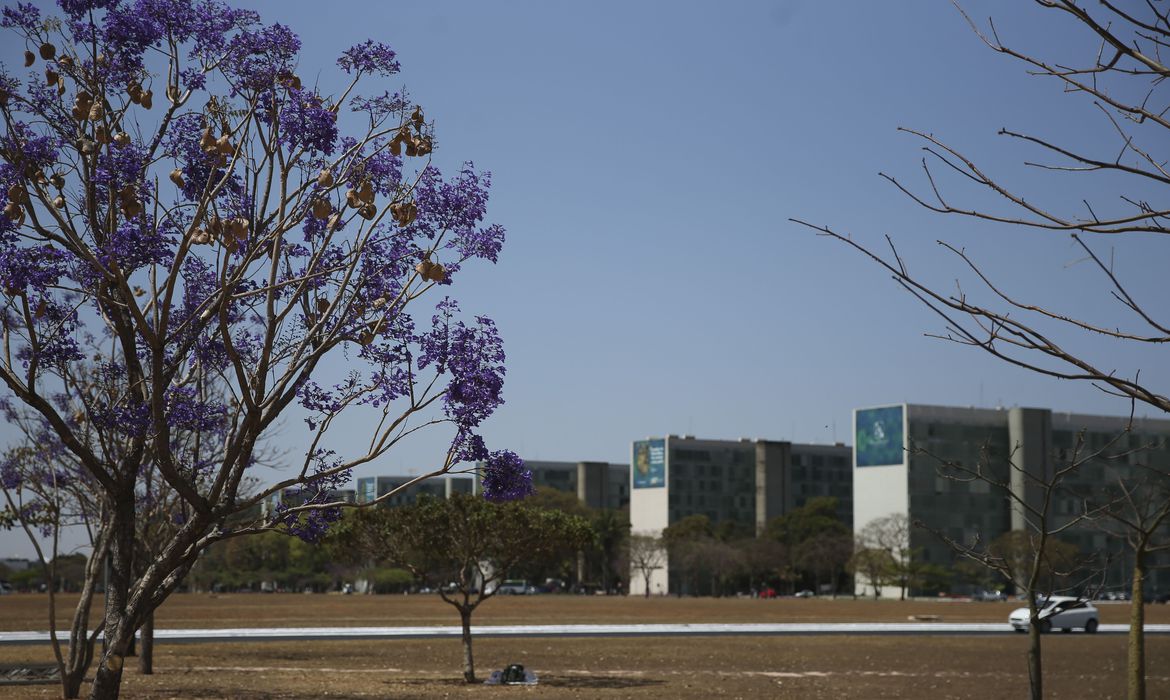 Cai a participa&ccedil;&atilde;o de mulheres em cargos no governo federal