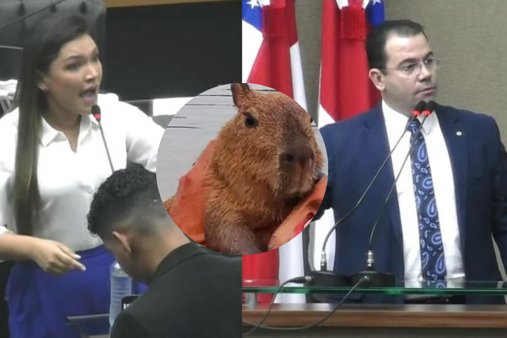 Capivara Filó gera bate-boca entre Joana Darc e Wilker Barreto durante sessão na Aleam Capivara Filó gera bate-boca entre Joana Darc e Wilker Barreto durante sessão na Aleam
