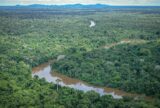 Brasil recebe R$ 33 milhões da Suíça para o Fundo Amazônia