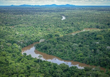 Brasil recebe R$ 33 milhões da Suíça para o Fundo Amazônia