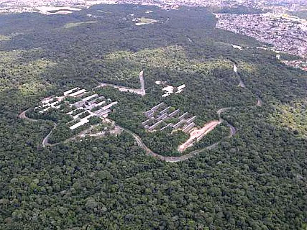 Obra sobre fauna e flora da Ufam será lançada no Senado Federal em junho Obra sobre fauna e flora da Ufam será lançada no Senado Federal em junho