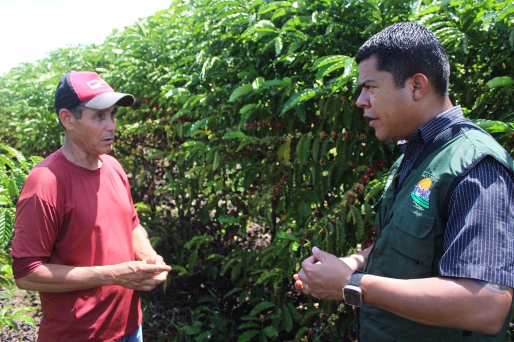 Novos equipamentos agr&iacute;colas fomentam produ&ccedil;&atilde;o de caf&eacute; em Humait&aacute;