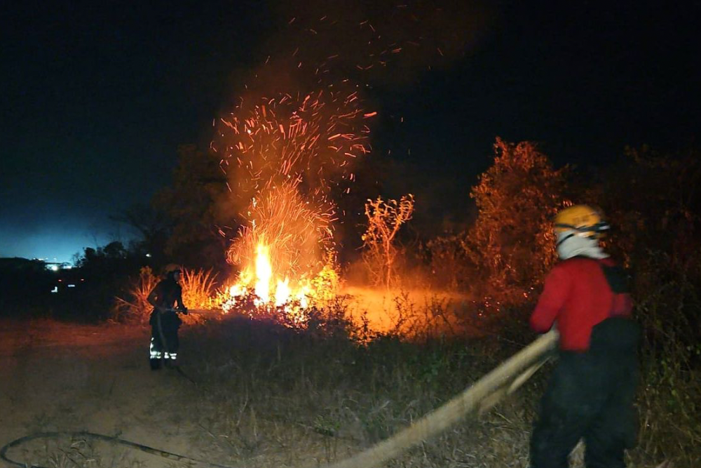 Manaus registra 23 incêndios em áreas de vegetação nas últimas 48h Manaus registra 23 incêndios em áreas de vegetação nas últimas 48h