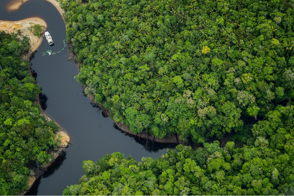 Revista Forbes coloca o Amazonas como o melhor lugar do mundo para o ecoturismo Revista Forbes coloca o Amazonas como o melhor lugar do mundo para o ecoturismo