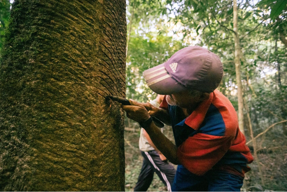 Semana da Sociobiodiversidade re&uacute;ne mais de 230 extrativistas e organiza&ccedil;&otilde;es da Amaz&ocirc;nia