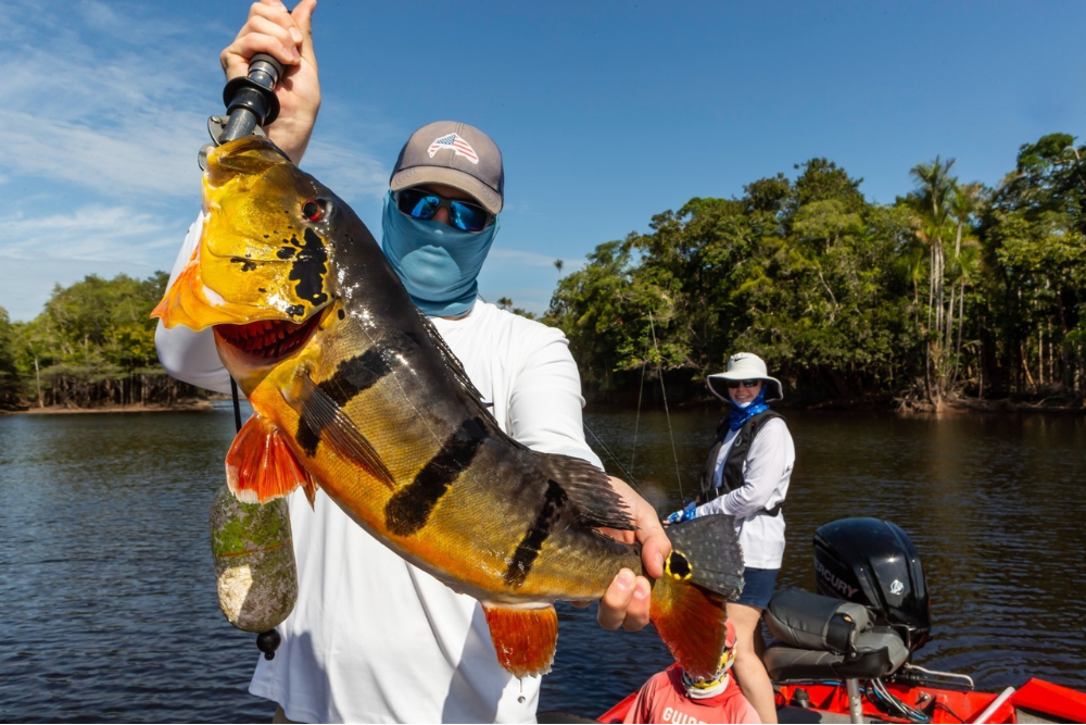 No Amazonas, temporada de pesca esportiva deve atrair 30 mil turistas No Amazonas, temporada de pesca esportiva deve atrair 30 mil turistas