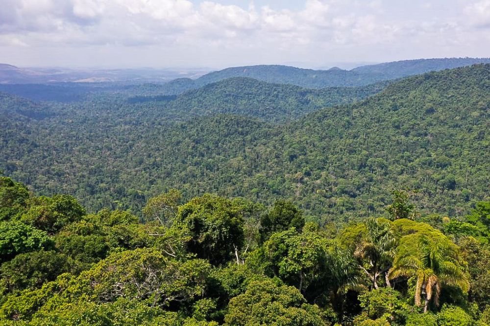 Amazônia é um dos focos da ONU para a Agenda 2030 Amazônia é um dos focos da ONU para a Agenda 2030