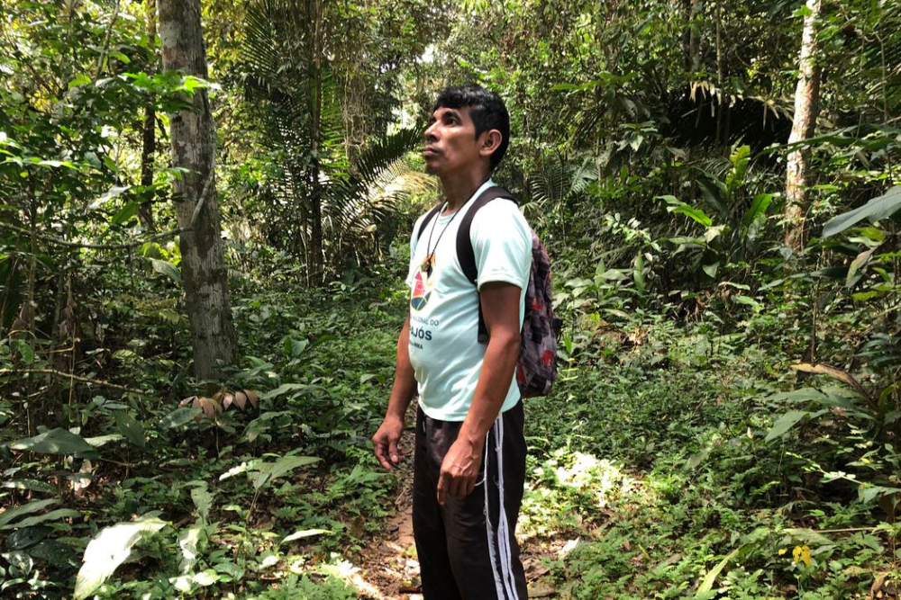 No Dia da Amaz&ocirc;nia, organiza&ccedil;&otilde;es alertam sobre preserva&ccedil;&atilde;o do bioma