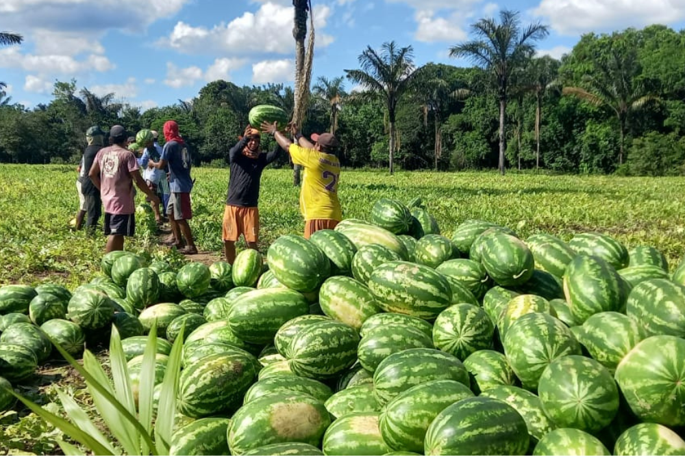 Governo prorroga inscrições para Edital de Chamamento Público do Programa de Aquisição de Alimentos Governo prorroga inscrições para Edital de Chamamento Público do Programa de Aquisição de Alimentos
