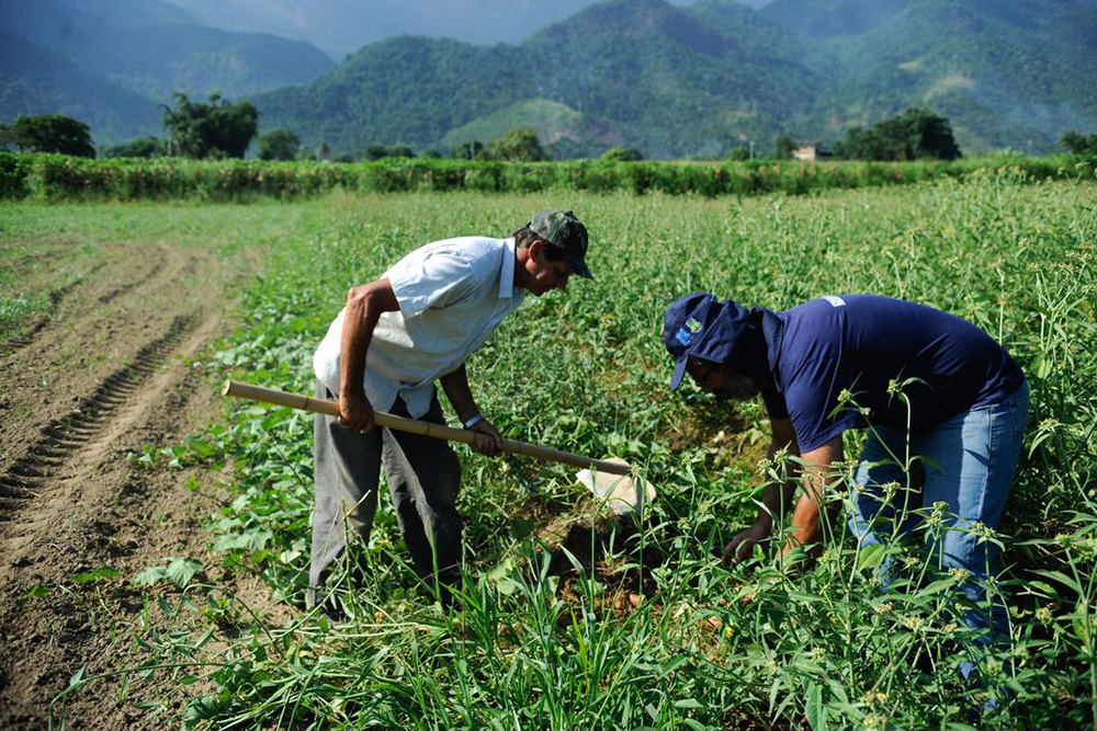 Incra define regras para assentamentos e inclusão na reforma agrária Incra define regras para assentamentos e inclusão na reforma agrária