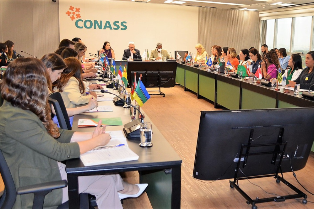 FVS-RCP debate pautas na C&acirc;mara T&eacute;cnica de Qualidade no Cuidado e Seguran&ccedil;a no Paciente