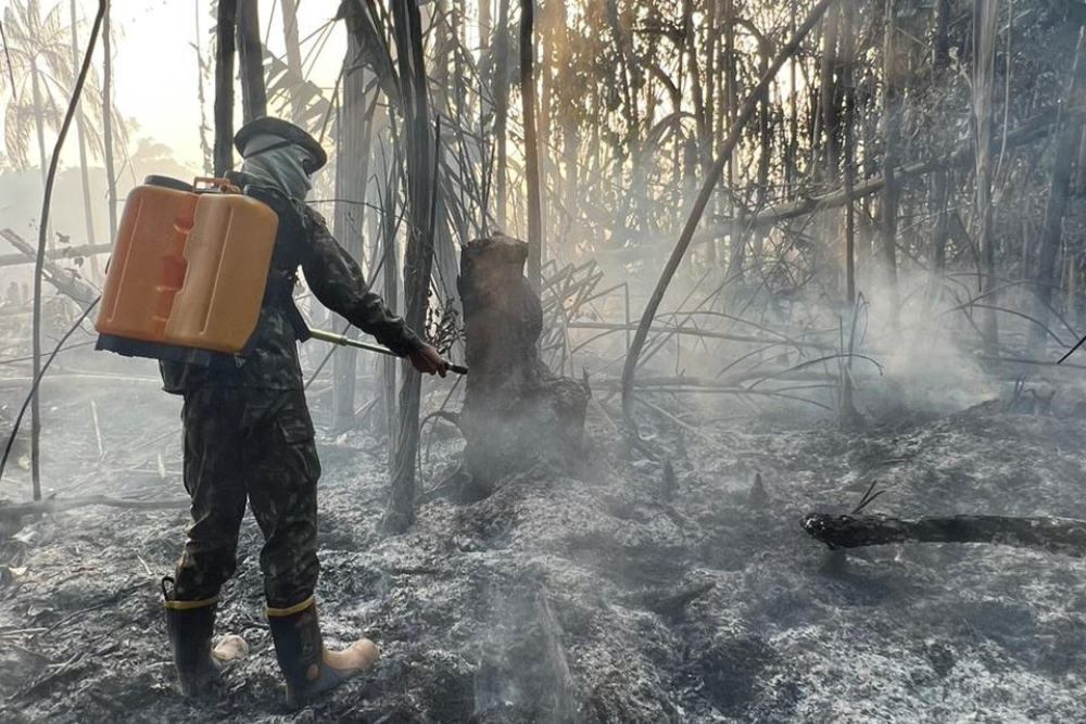 Exército apoia combate a focos de incêndio em Tefé Exército apoia combate a focos de incêndio em Tefé