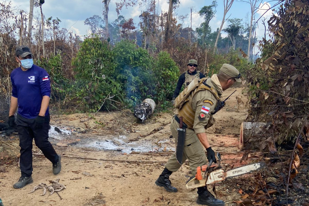 Operação Tamoiotatá 3 aplica mais de R$ 10,2 milhões em multas por crimes ambientais no AM Operação Tamoiotatá 3 aplica mais de R$ 10,2 milhões em multas por crimes ambientais no AM