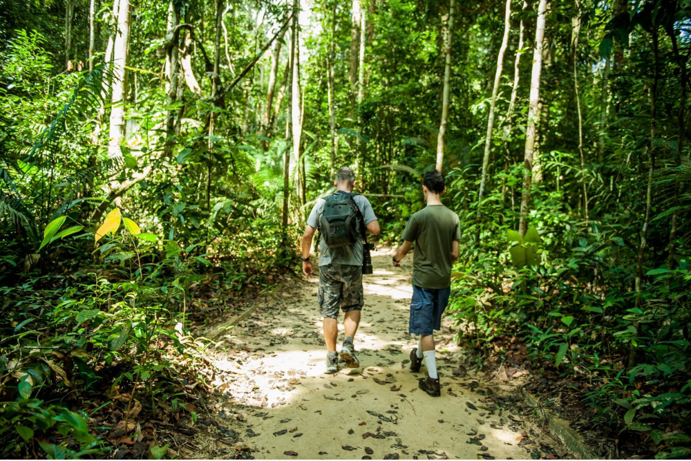Confira um roteiro de atra&ccedil;&otilde;es para unir exerc&iacute;cio f&iacute;sico com turismo no Amazonas