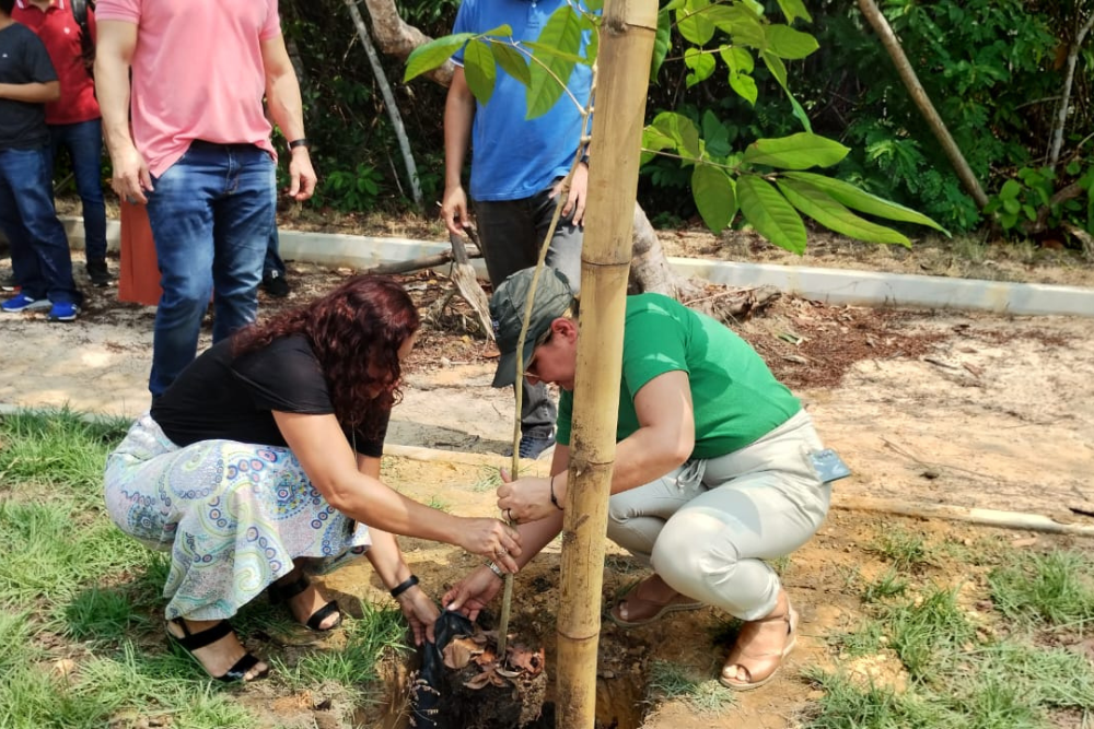 Ipaam e Semmas plantam mudas nativas em &aacute;rea verde que abrigar&aacute; bosque para a popula&ccedil;&atilde;o