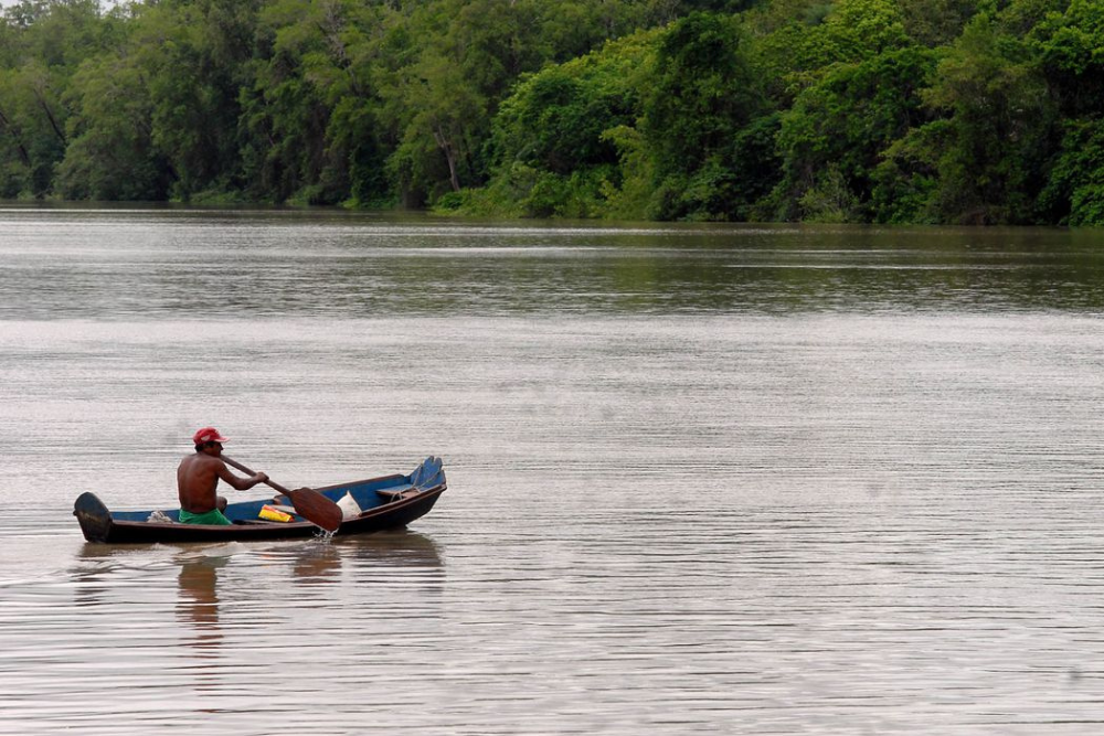 Webinar da FGV debate o presente, passado e futuro da Amaz&ocirc;nia