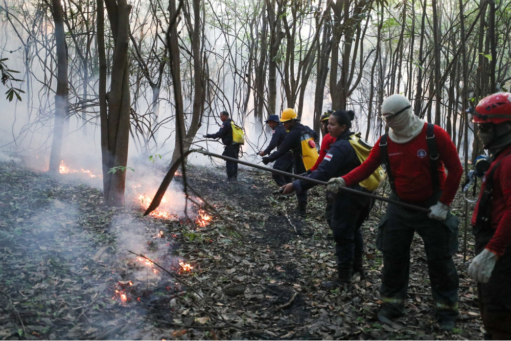 For&ccedil;a-tarefa do Corpo de Bombeiros combate inc&ecirc;ndio em &aacute;rea de mata em Iranduba