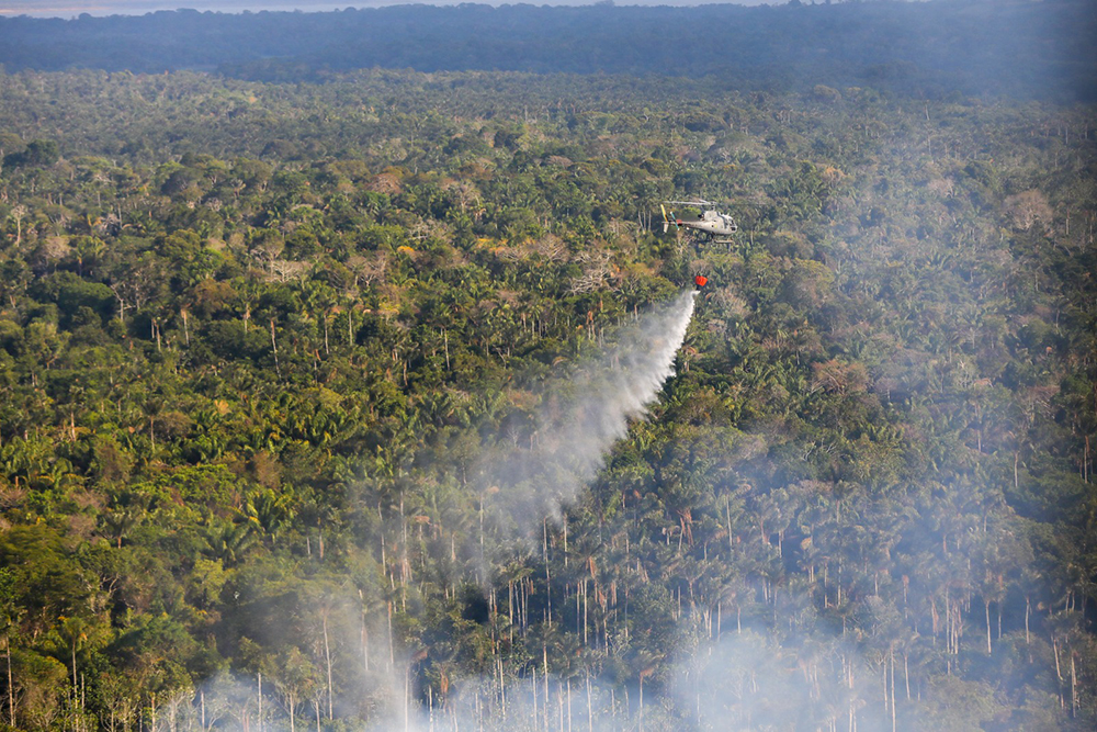 Amazonas registra recorde em setembro com quase 7 mil focos de queimada Amazonas registra recorde em setembro com quase 7 mil focos de queimada