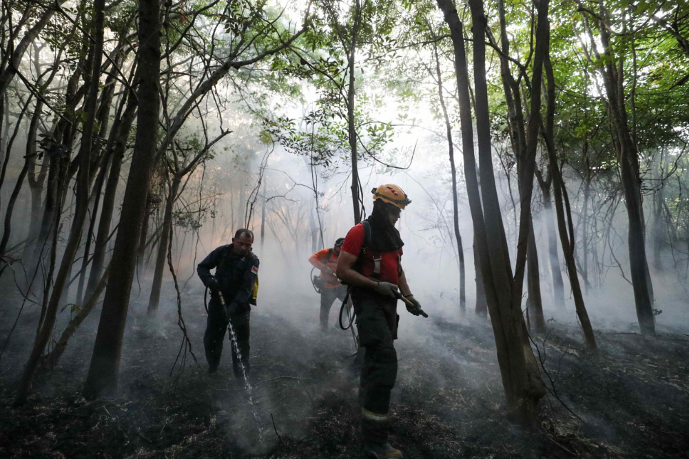 Estado contrata 153 brigadistas para refor&ccedil;ar combate &agrave;s queimadas no Amazonas