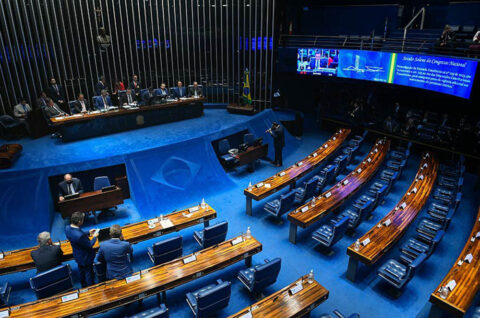 Senado analisa medidas protetivas para idosos e pessoas com deficiência