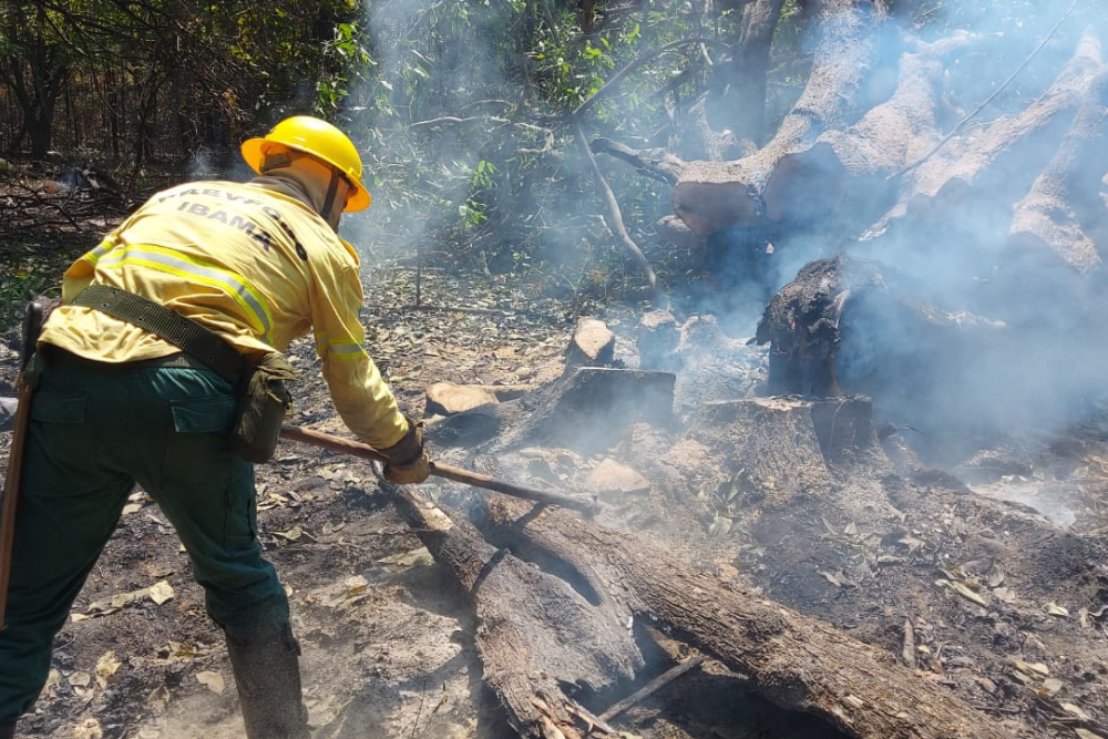 Brigadistas do Ibama se deslocam para combater inc&ecirc;ndio no Careiro Castanho