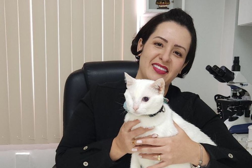 Gatos não são 'vilões' das zoonoses, explica médica veterinária Gatos não são 'vilões' das zoonoses, explica médica veterinária